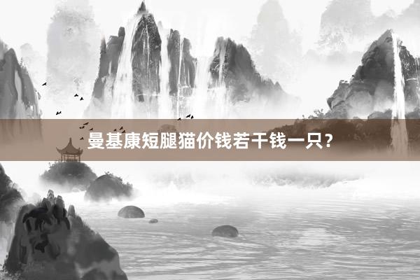 曼基康短腿猫价钱若干钱一只？